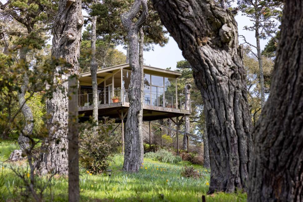 Free Image of Rustic cabin surrounded by trees in a serene setting 