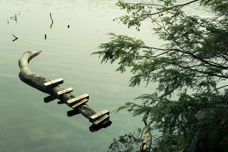 Free Image of Log with stepping stones in tranquil lake setting 