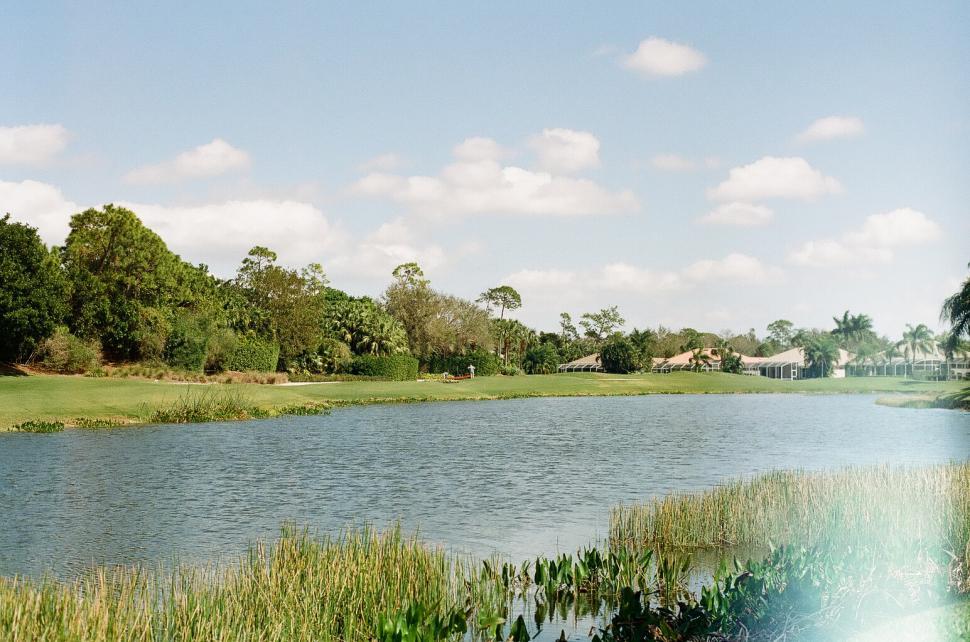 Free Image of Serene lake view surrounded by greenery on a sunny day 