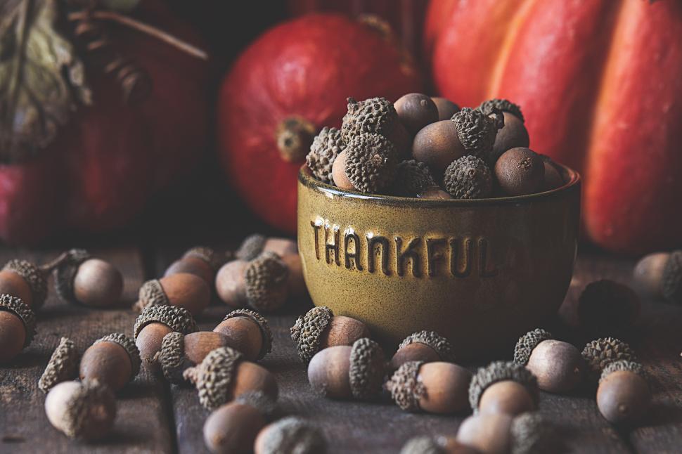 Free Image of Autumn harvest display with acorns and decorative pumpkins 