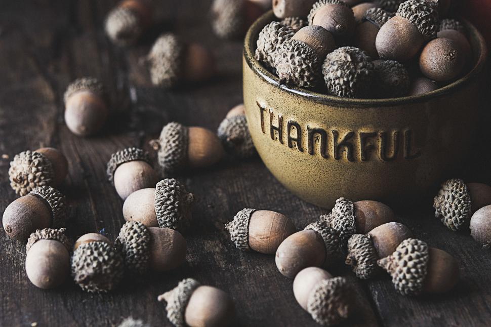 Free Image of Acorns arranged around a thankful bowl on a wooden table 