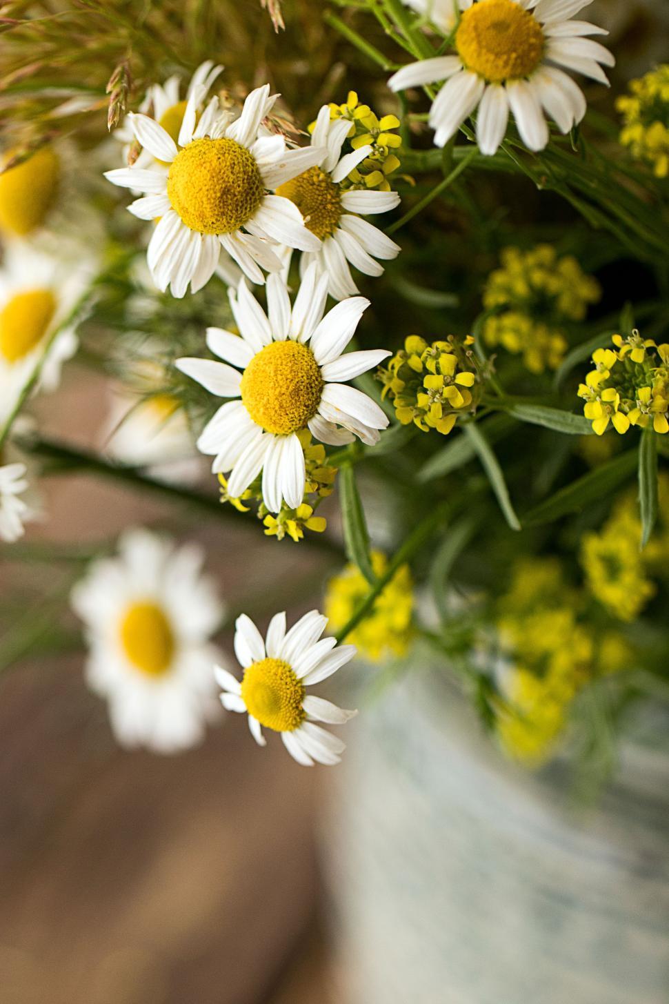 Free Image of Bright daisy bouquet in rustic vase on wooden table 