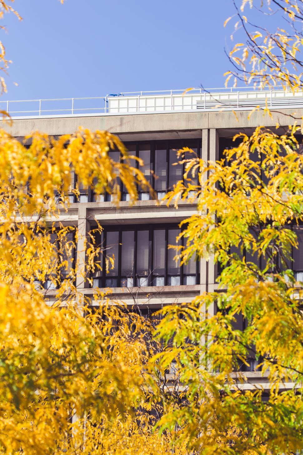Free Image of Building framed by vibrant autumn foliage during clear day 