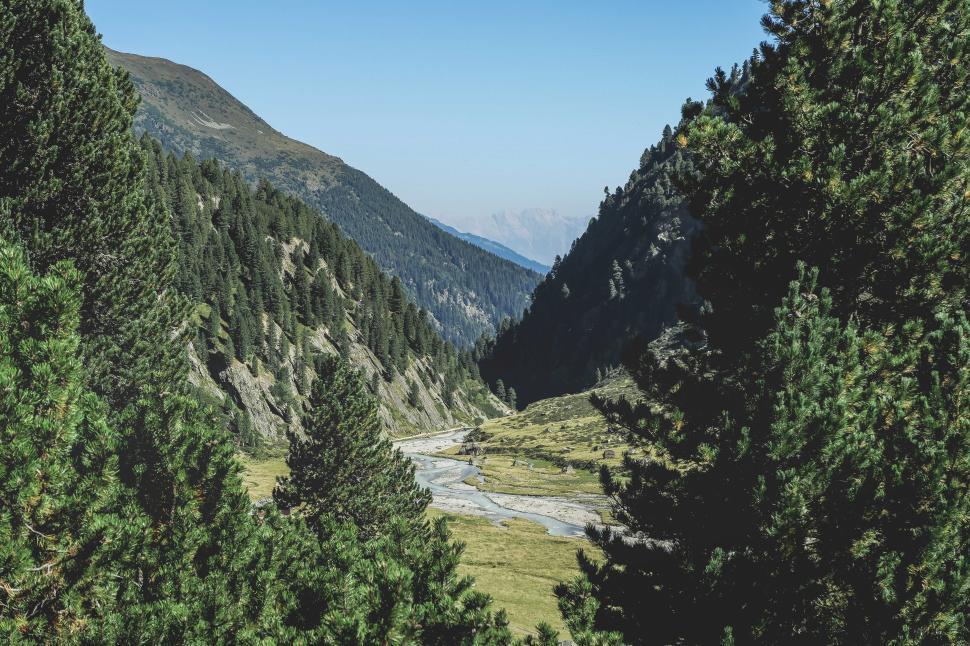 Free Image of Scenic mountain valley with a winding river and lush greenery in daylight 