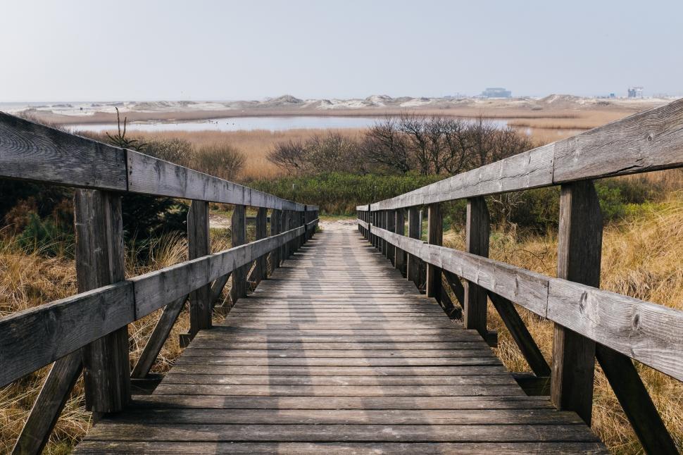 Free Image of Scenic wooden walkway leading to nature reserve 