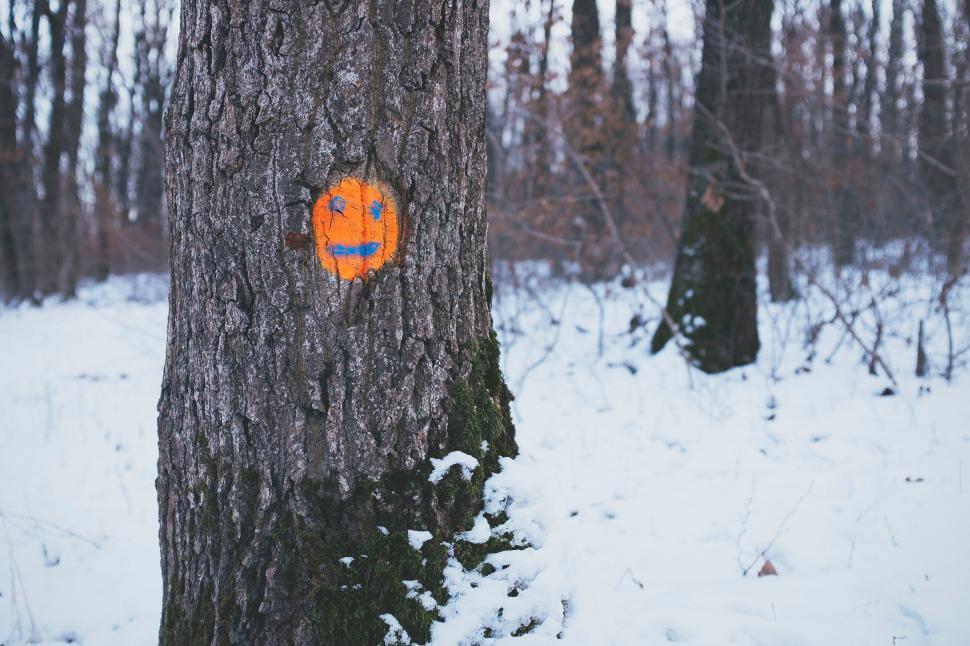 Free Image of Bright orange smiley face painted on a tree in a snowy forest during winter season 