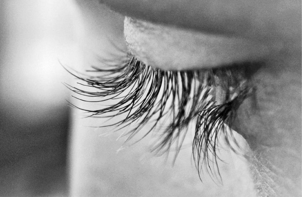 Free Image of Captivating close-up of beautiful eyelashes in black and white 