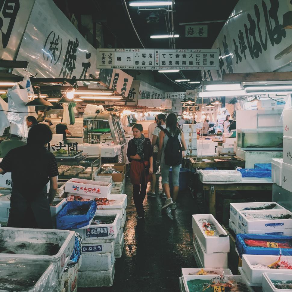 Free Image of Exploring a bustling fish market in the heart of the city 