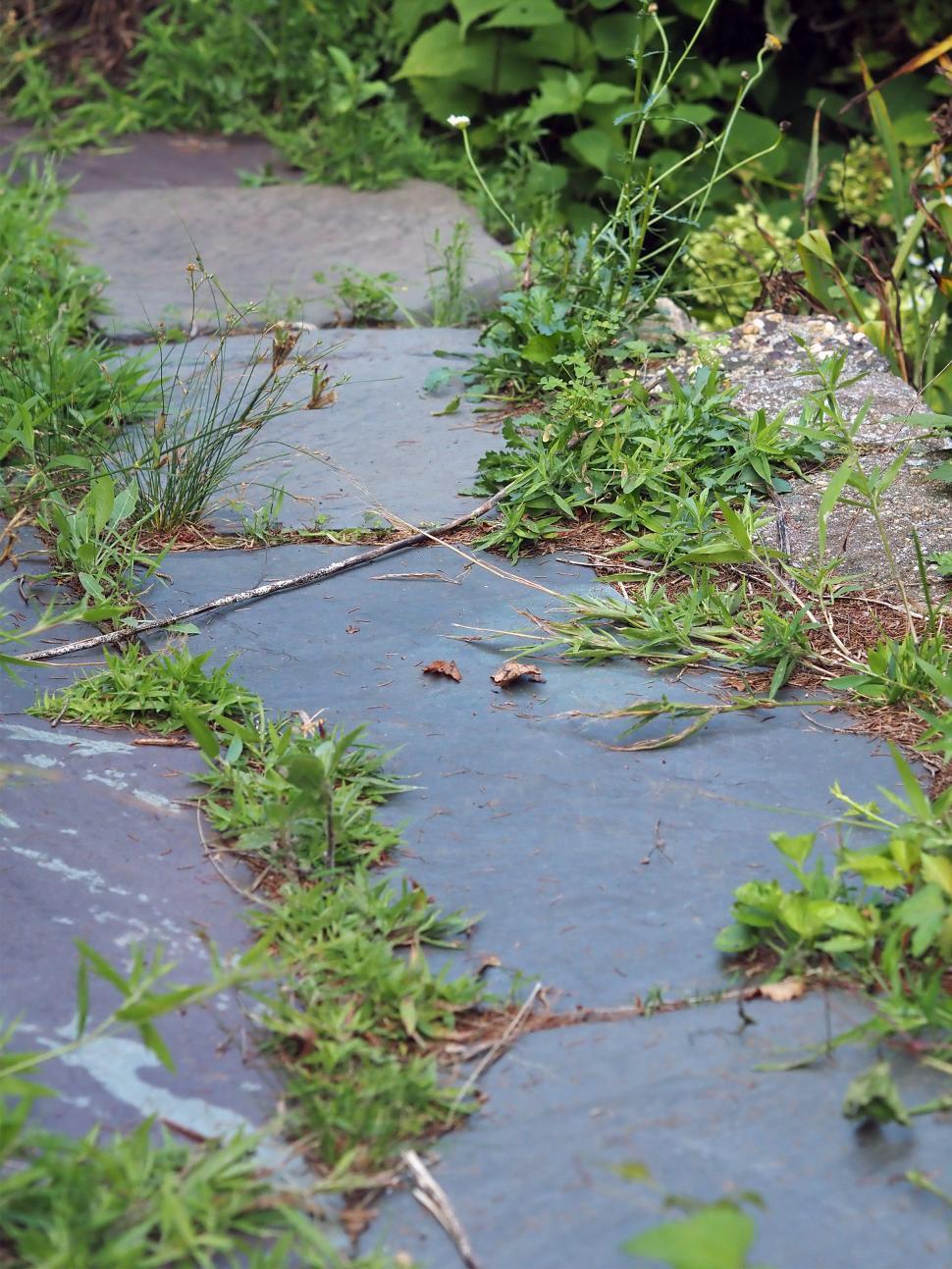 Free Image of Garden Bluestone Walkway 