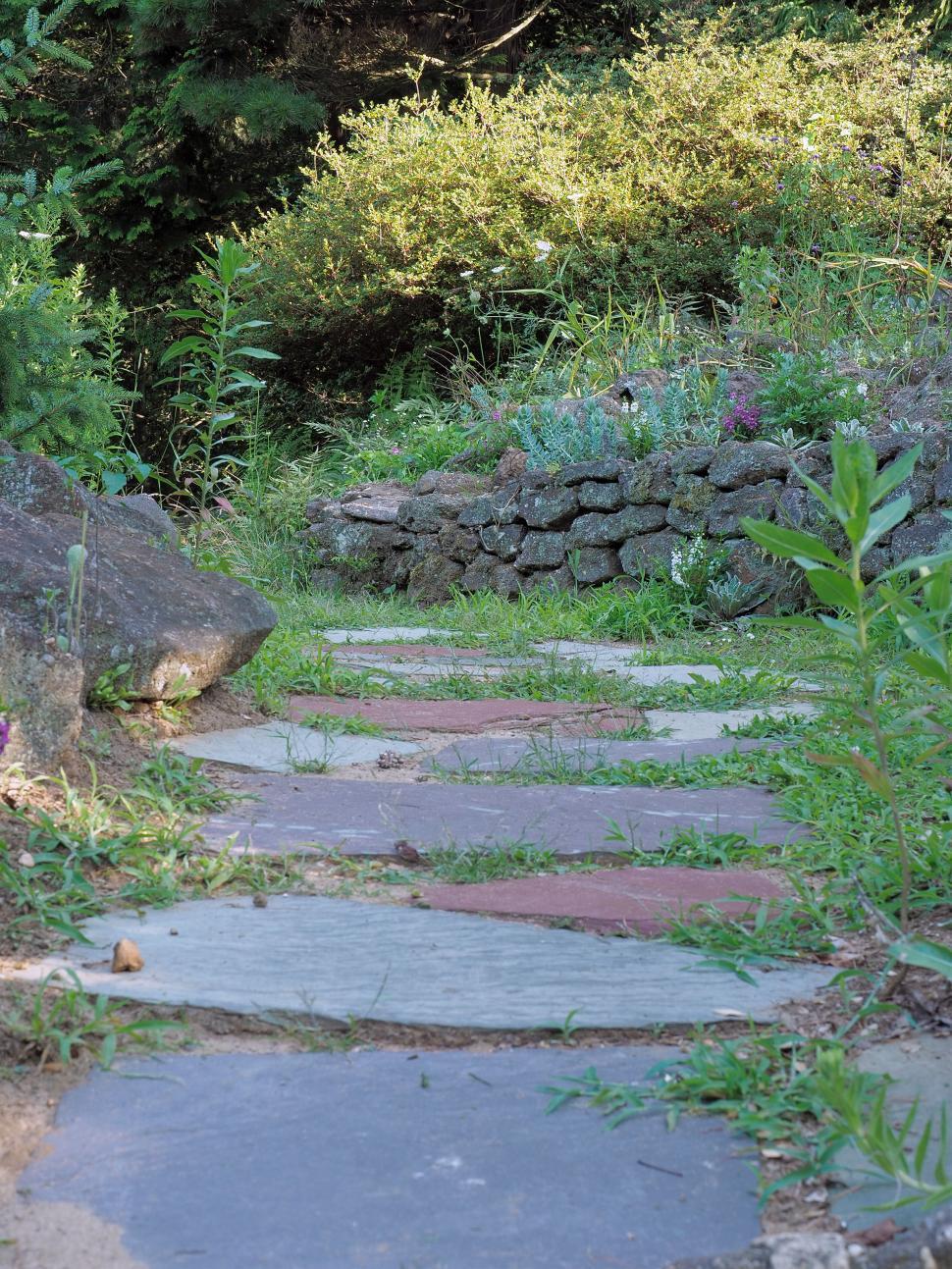 Free Image of Garden Flagstone Pathway 