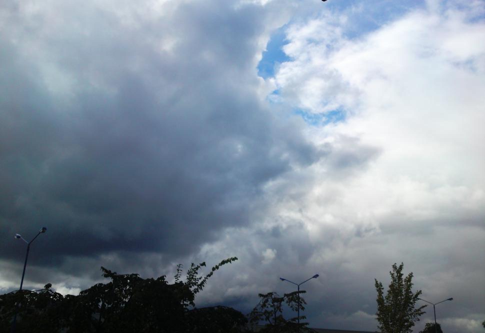 Free Image of Winter and cold 