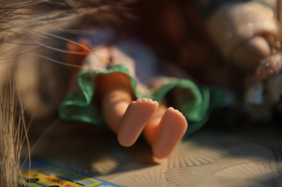 Free Image of Cat Laying on Bed Close Up 