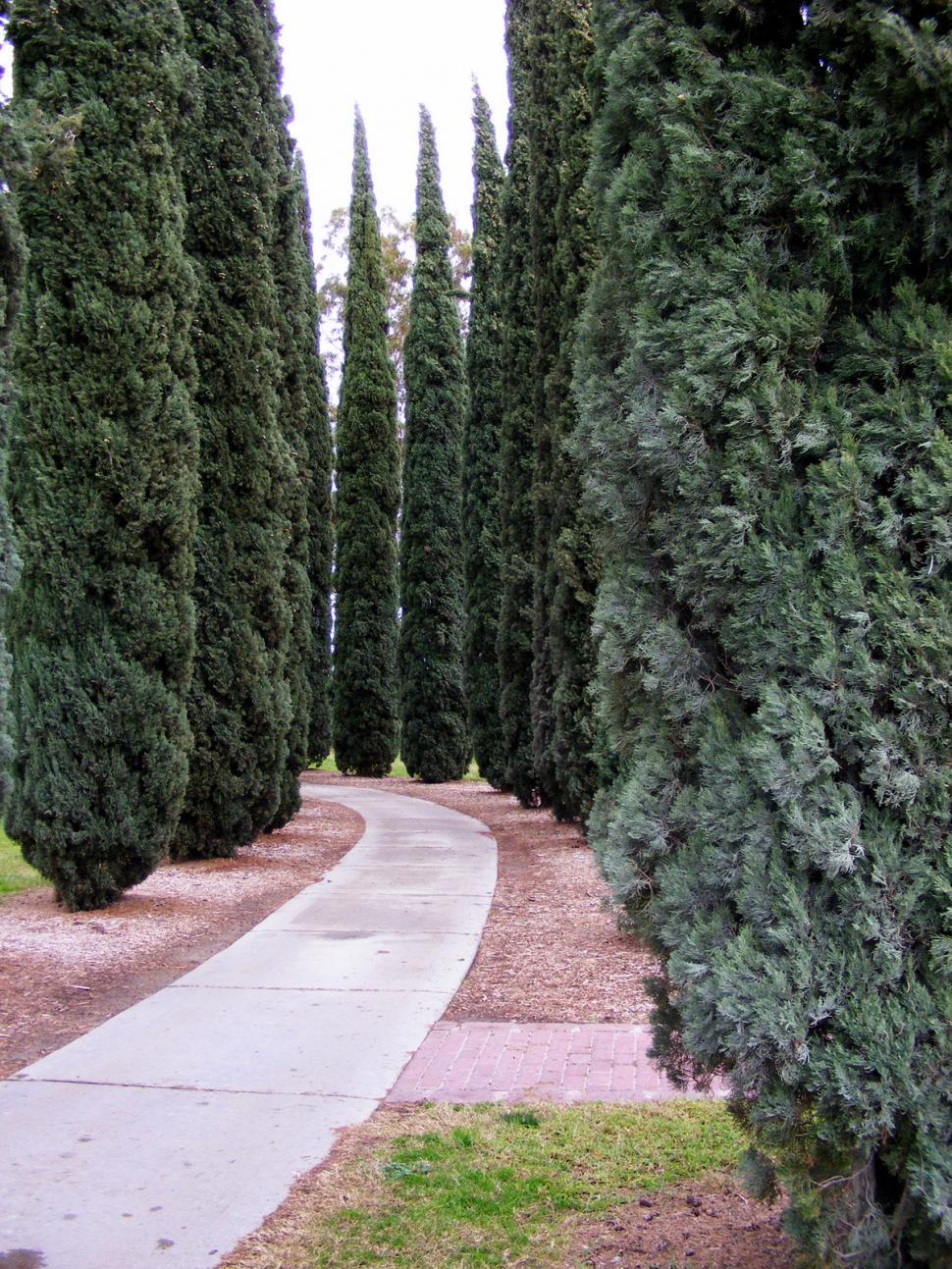 Free Image of Golf Course 