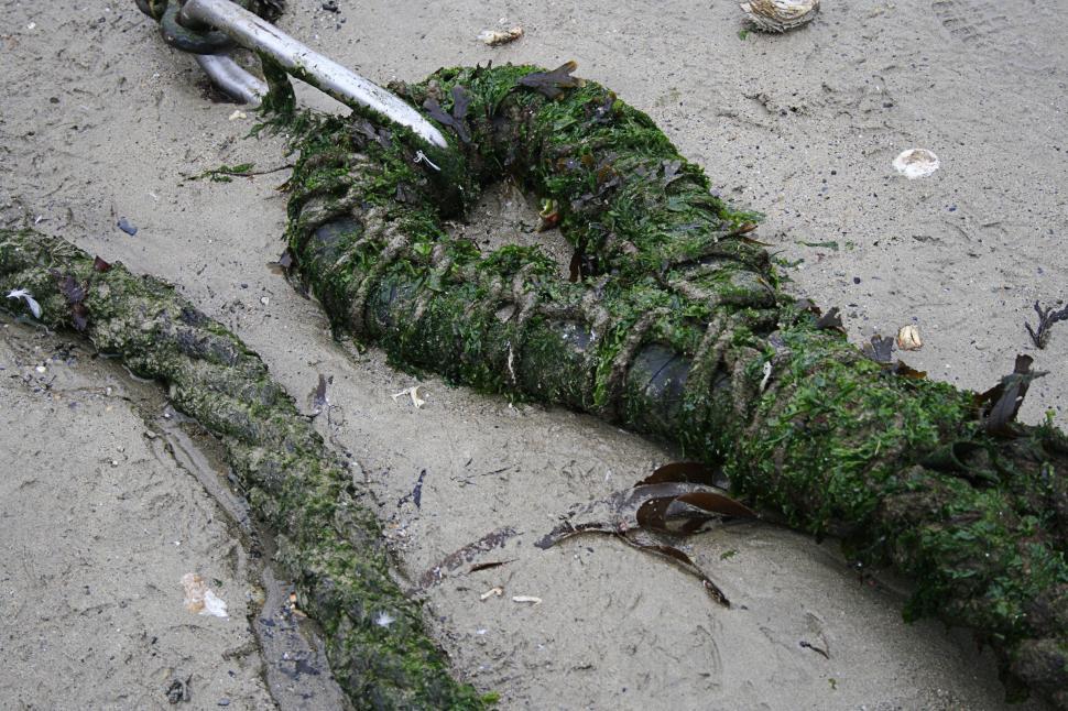 Free Image of Mooring Rope 