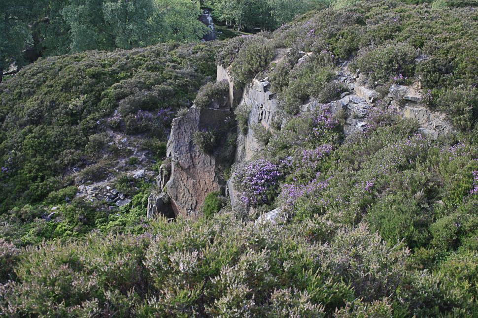 Free Image of stanton moor 