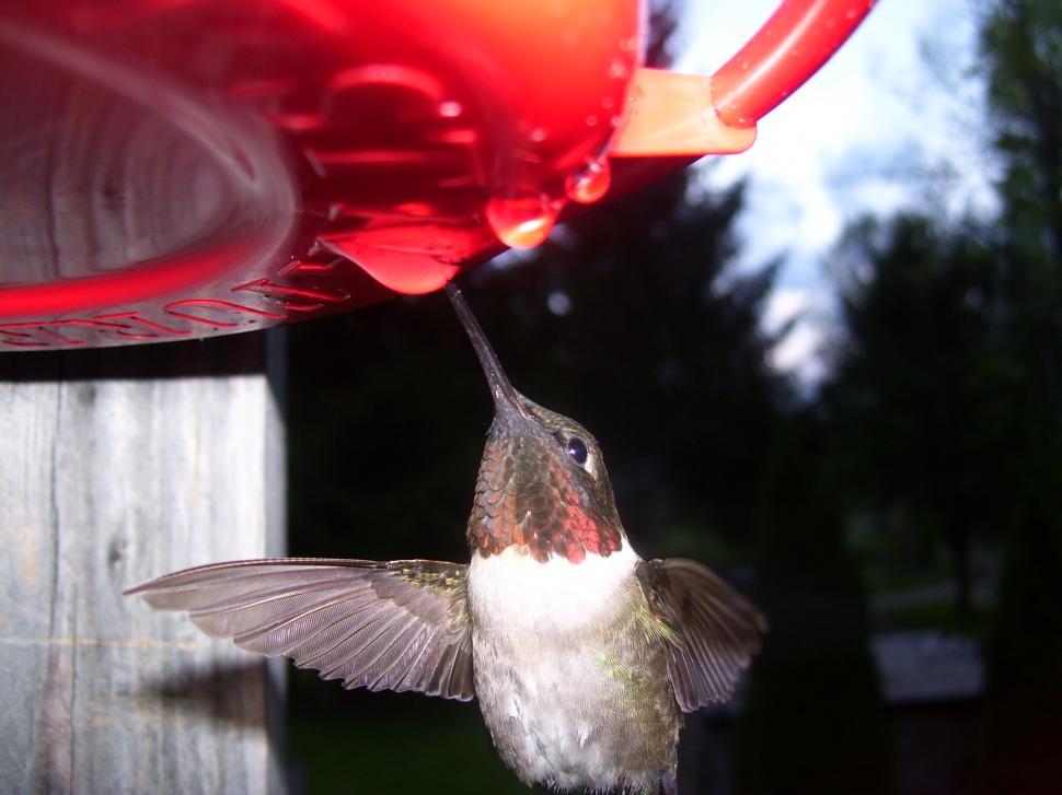 Free Image of Good To The Last Drop 