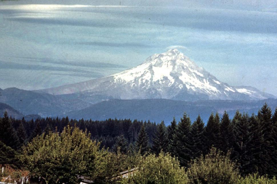 Free Image of Snow Covered Mountain With Trees in Foreground 
