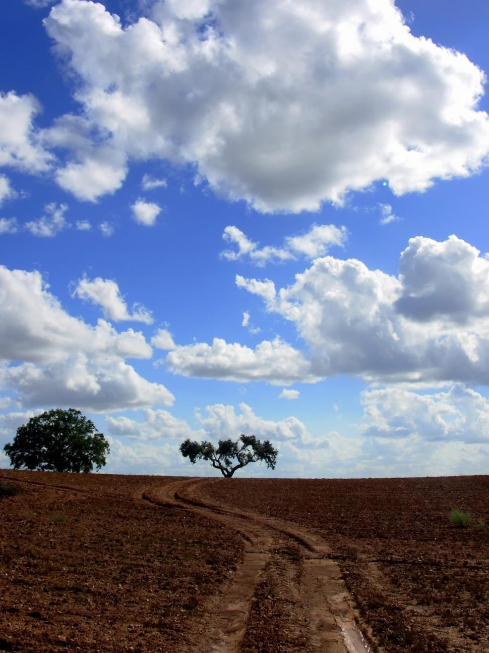 Free Image of Dirt Road Cutting Through Field 