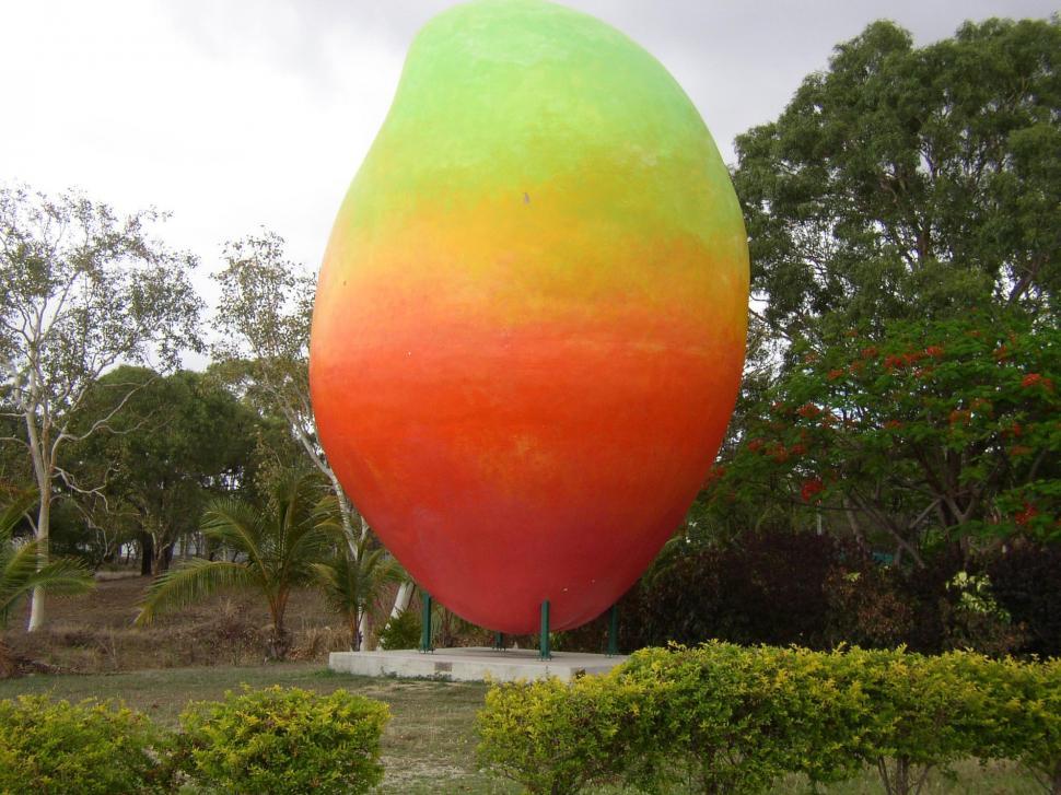 Free Image of Bowen Big Mango 