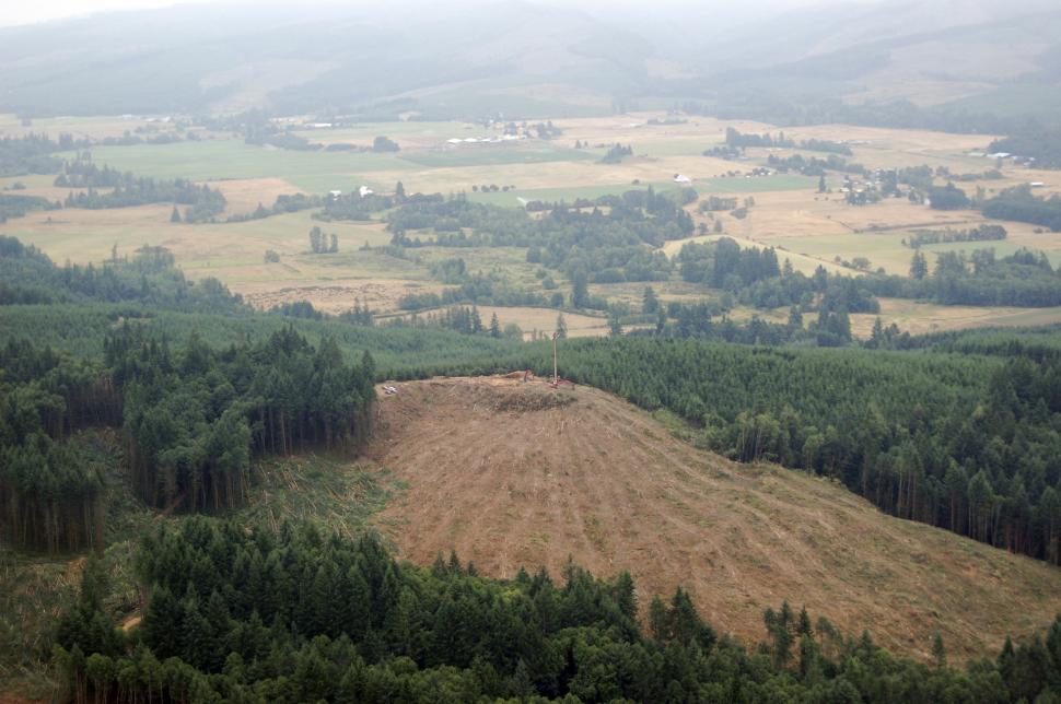 Free Image of Clearcut Logging 