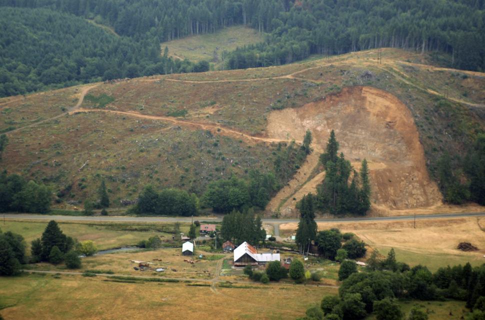 Free Image of Clearcut Logging Mudslides 