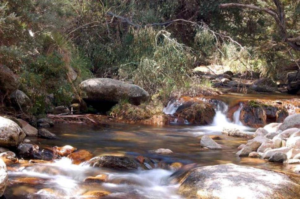 Free Image of Leather Barrel Creek 