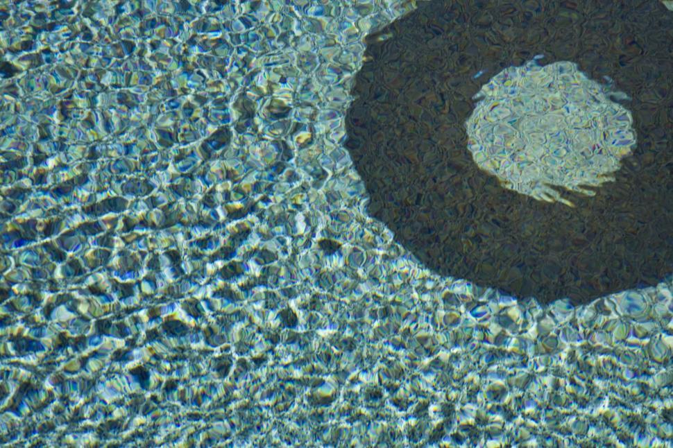 Free Image of Swimming Pool  