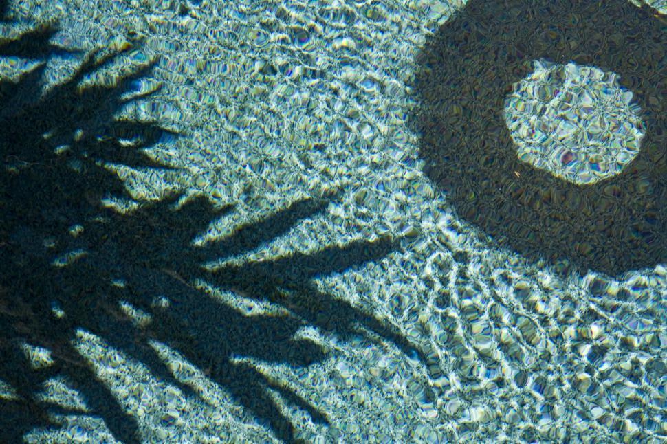 Free Image of Swimming Pool  