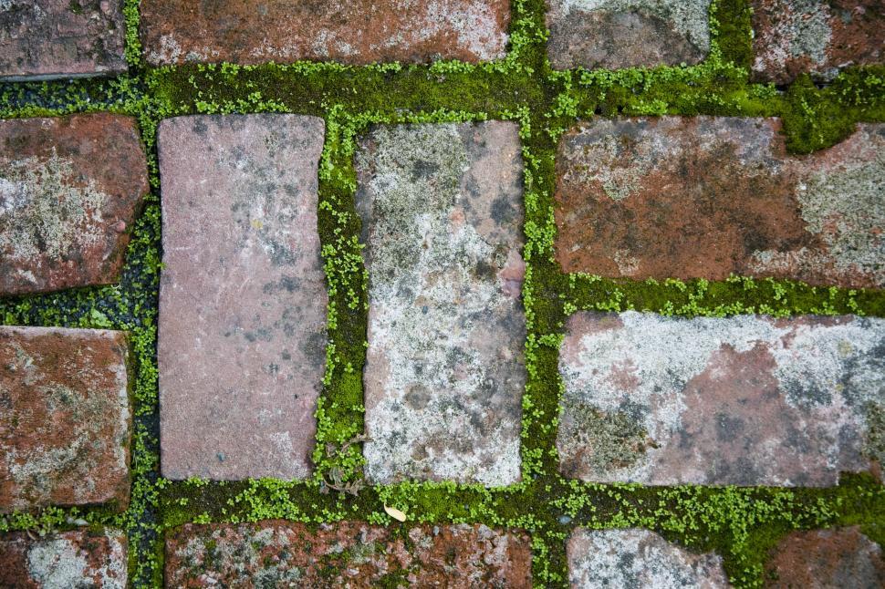 Free Image of Mossed Brick 