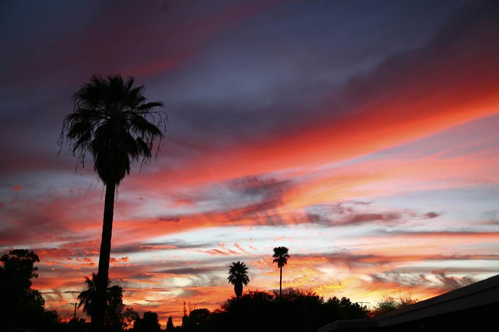 Free Image of Red Sky 