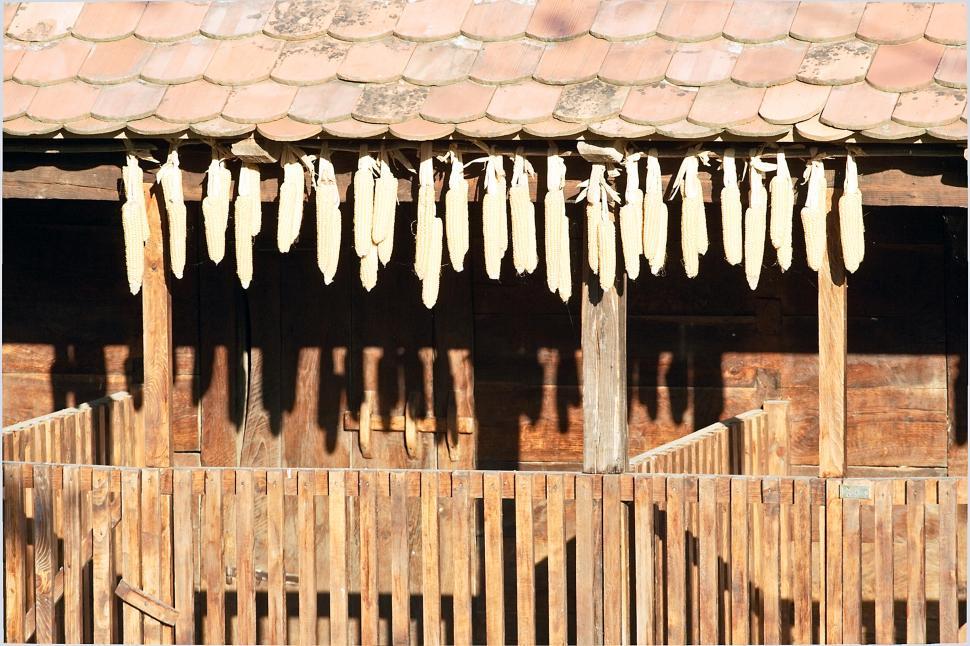 Free Image of Farm detail 