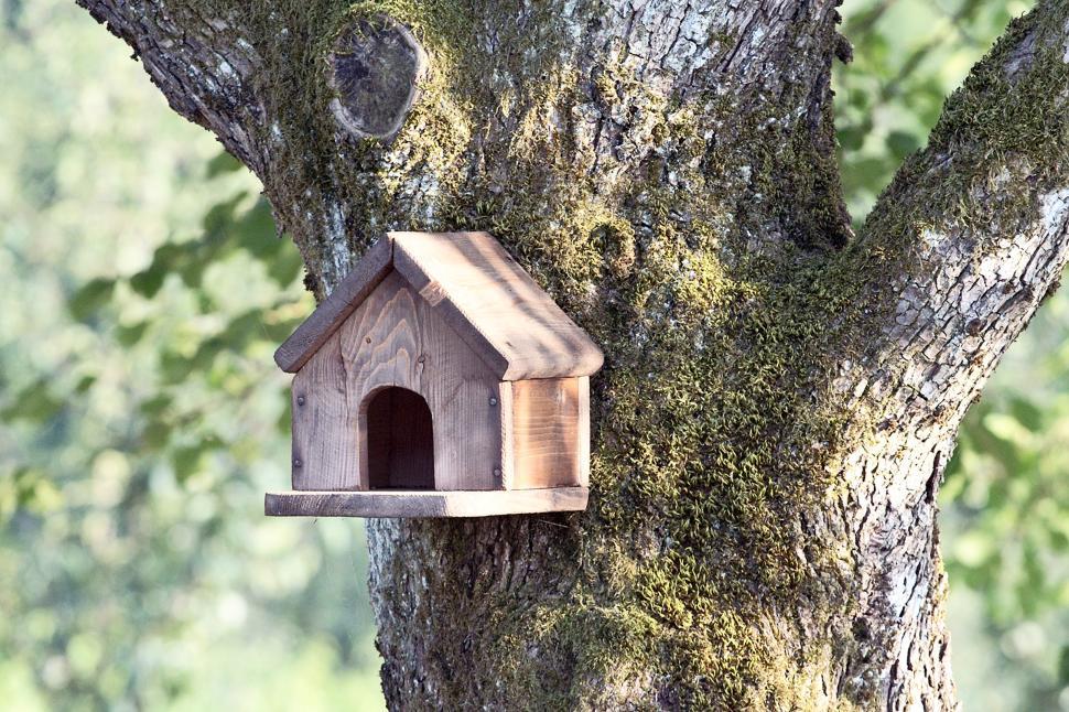 Free Image of Farm detail 