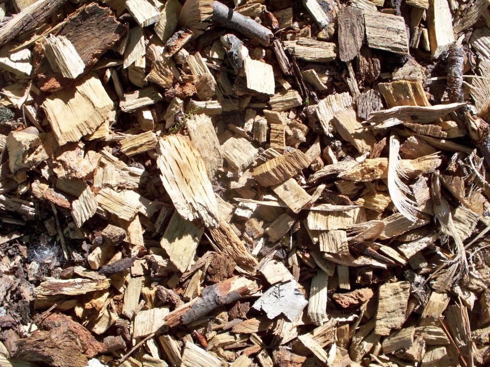Free Image of Dry pine wood chips outdoors 