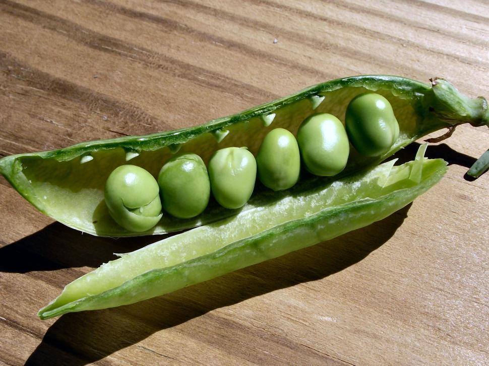 Free Image of Sweet peas in the pod 