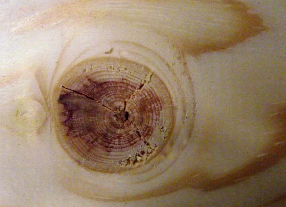 Free Image of Pine board with knot knotty pine 