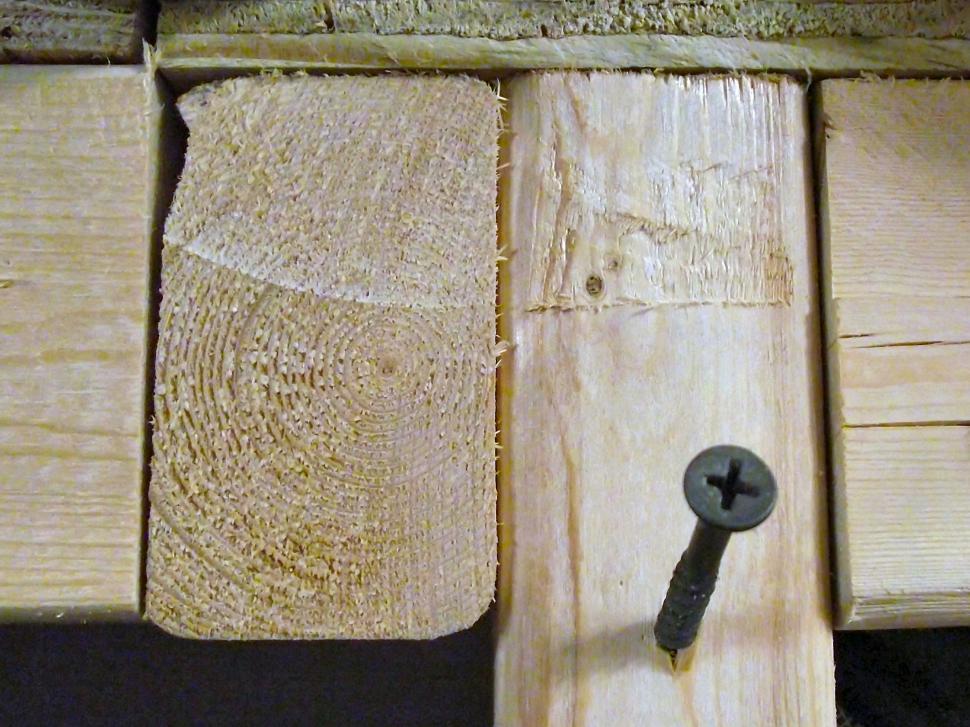 Free Image of Drywall screw in 2x4 pine board 