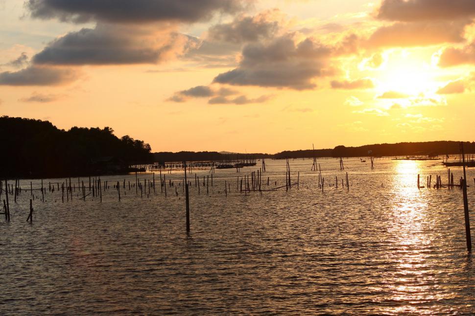 Free Image of Water With Many Poles 