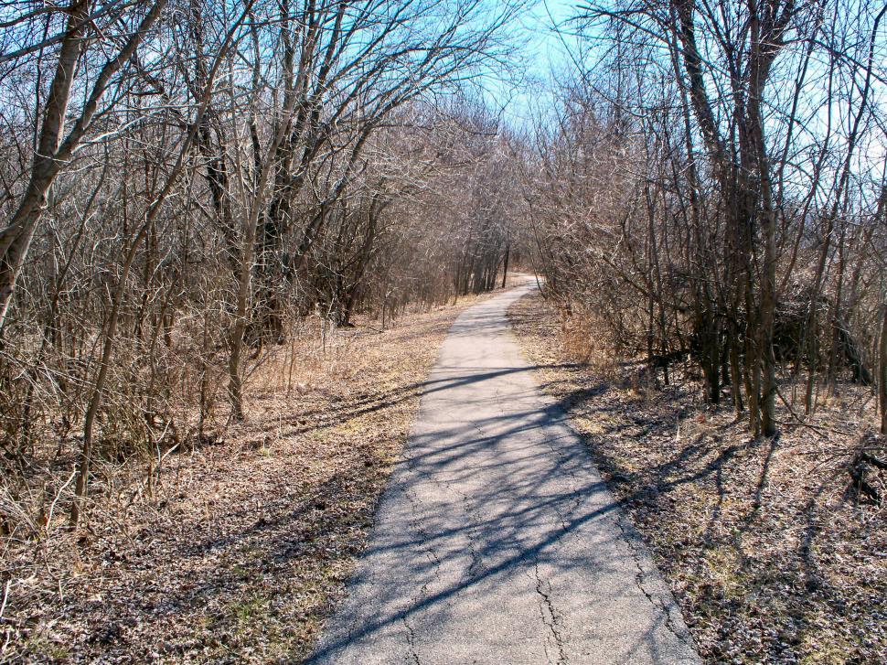 Free Image of asphalt walkway pathway through the woods 