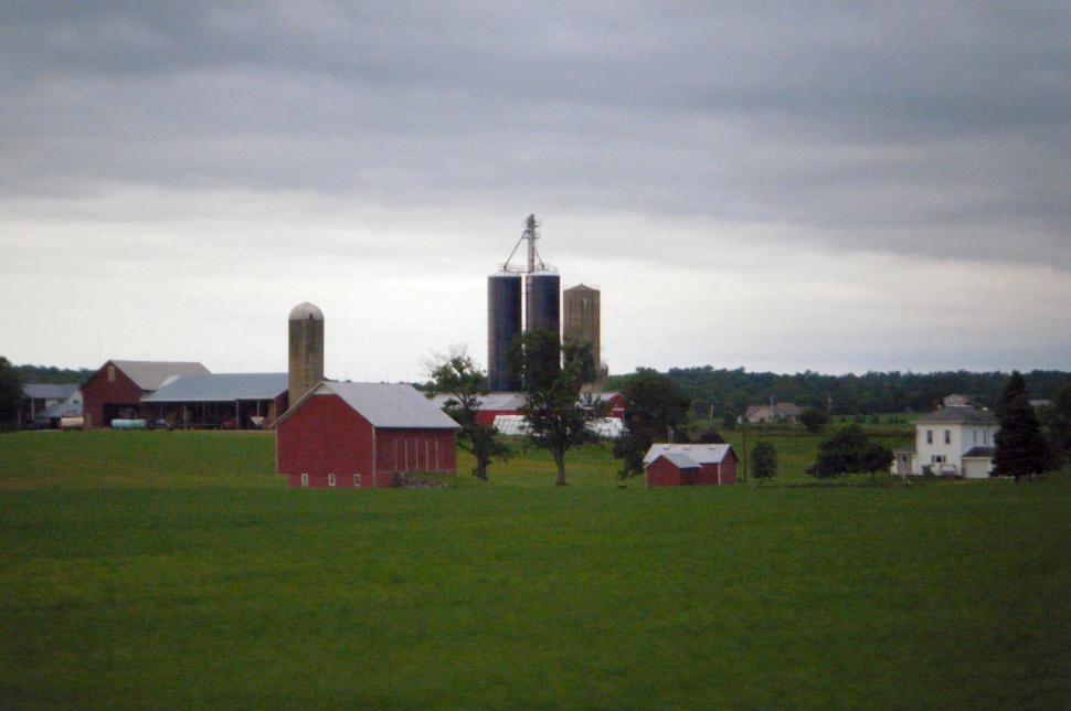 Free Image of Dairy farm with cows, silos, corn fields, barns, sheds, and farmhouse 