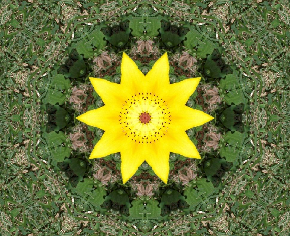 Free Image of Manipulated flower 