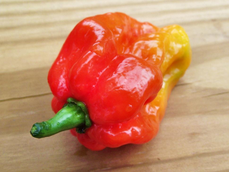 Free Image of Habenero pepper close up macro shot 
