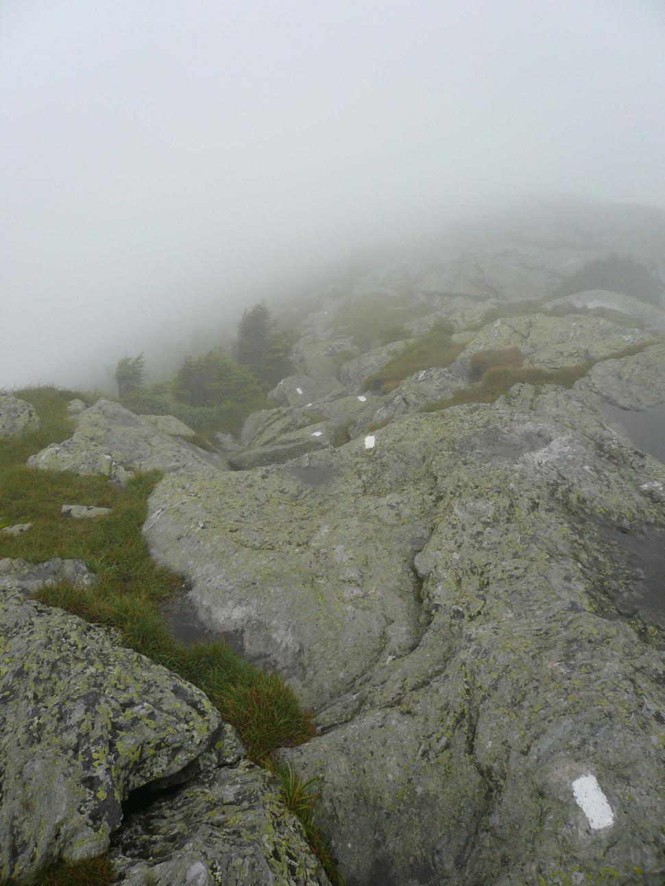 Free Image of The Long Trail 