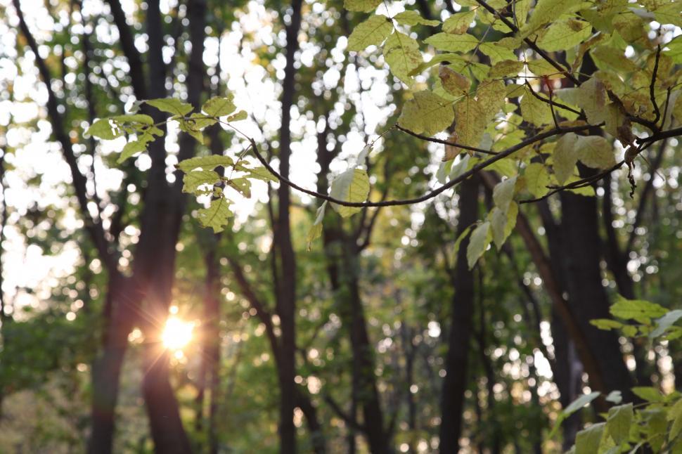 Free Image of Autumn in Moscow 