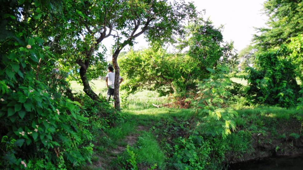 Free Image of Man Standing on Bridge Over Creek 