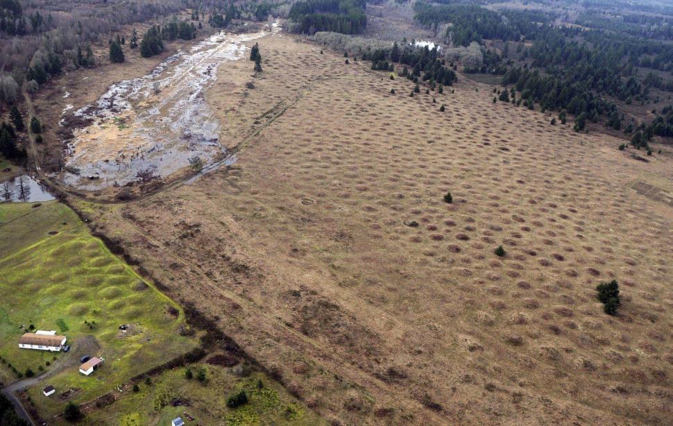 Free Image of Mima Mounds 