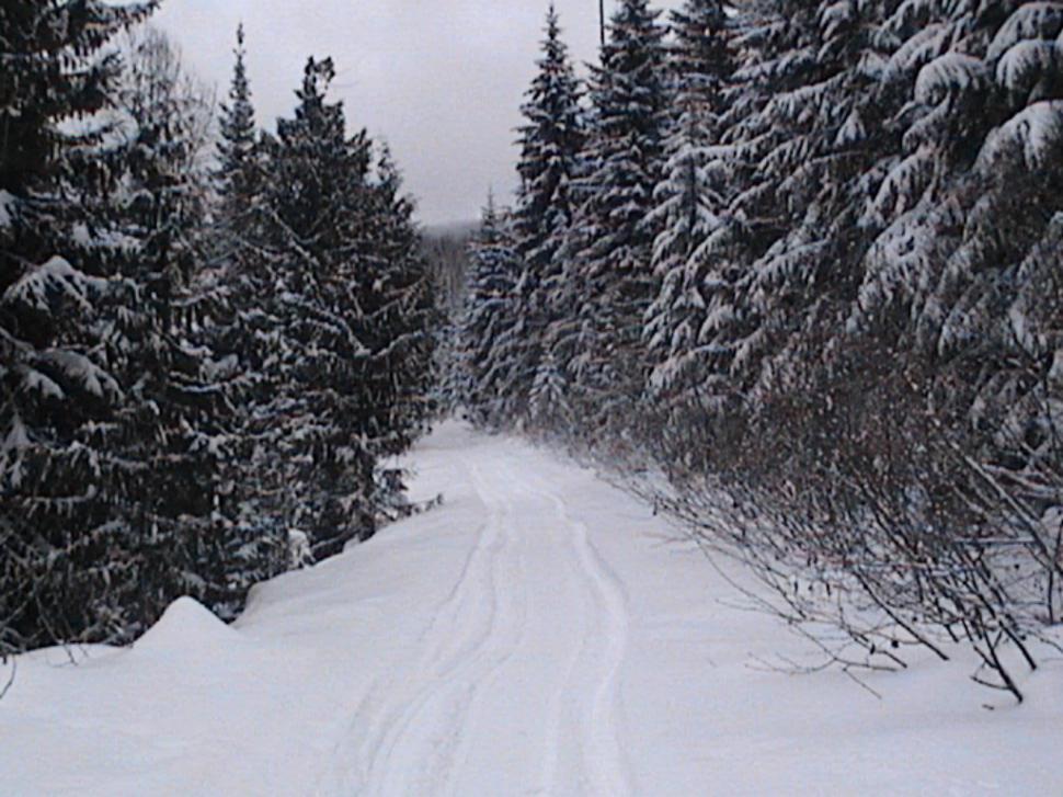 Free Image of Person Snowboarding Down Snow-Covered Road 