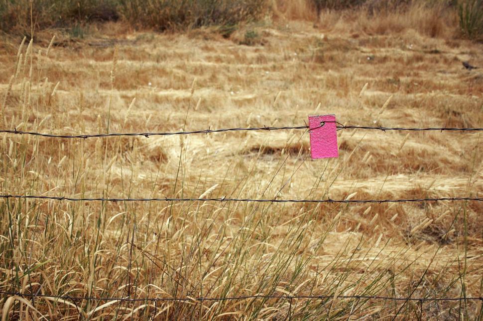 Free Image of Barbed wire and field 