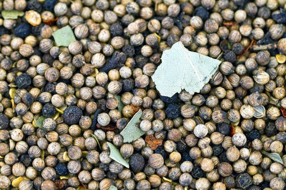 Free Image of Pickling Spices 