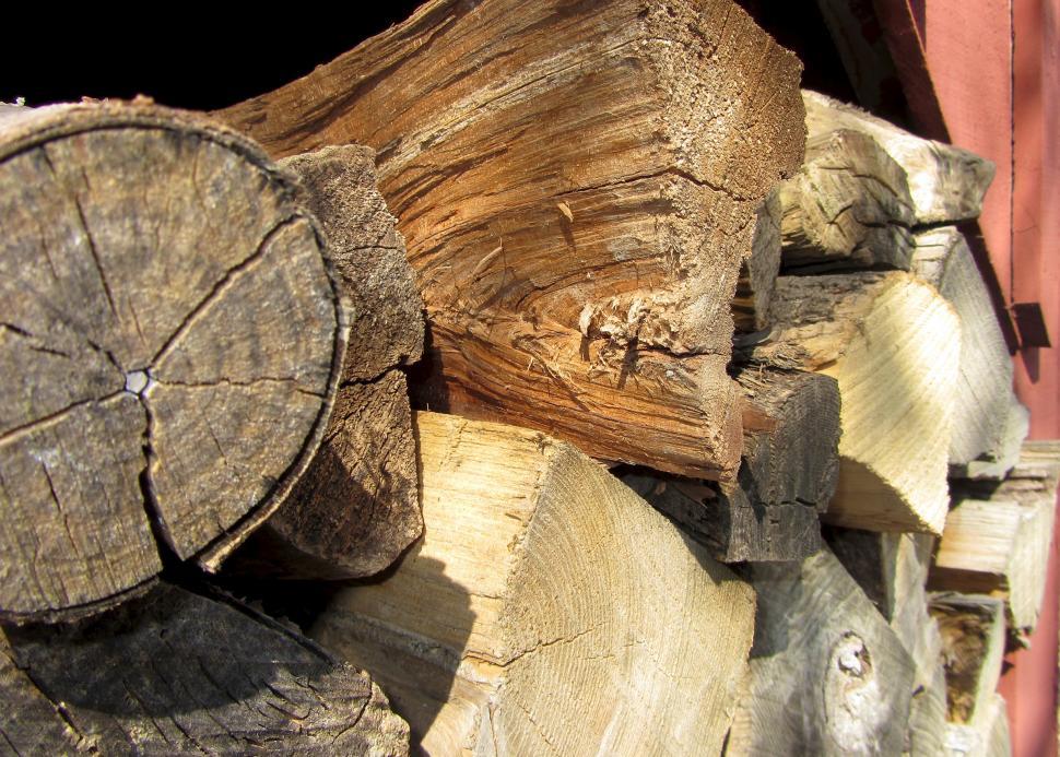 Free Image of Wood Lot 