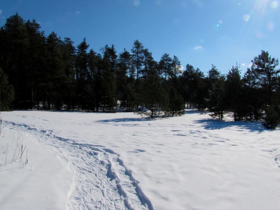 Free Image of Snow Covered Field With Trees in Background 
